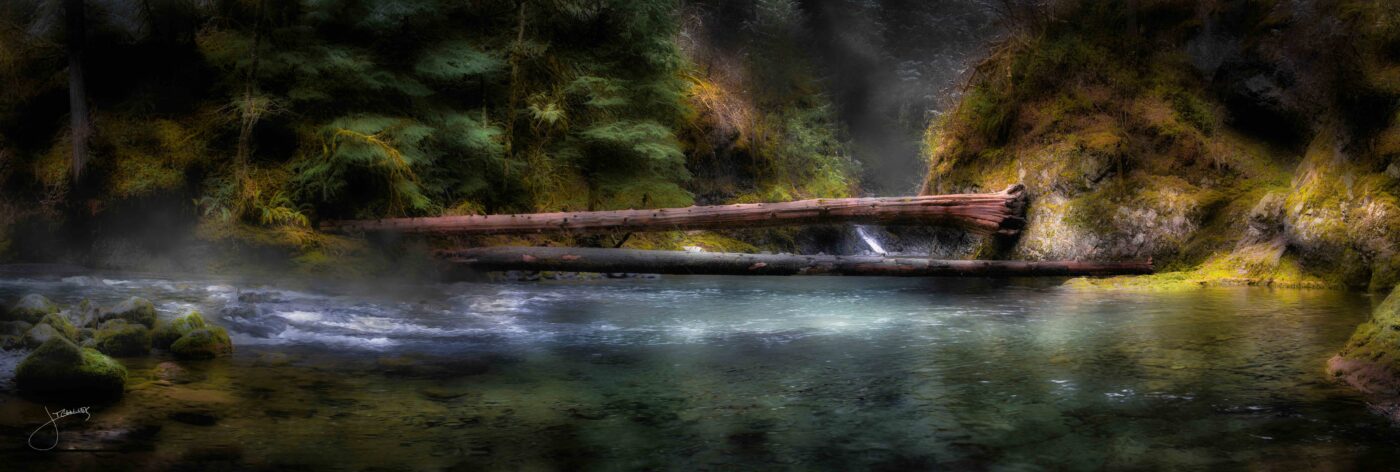water,river,snow,mist,rocks,landsape,logjam,forest